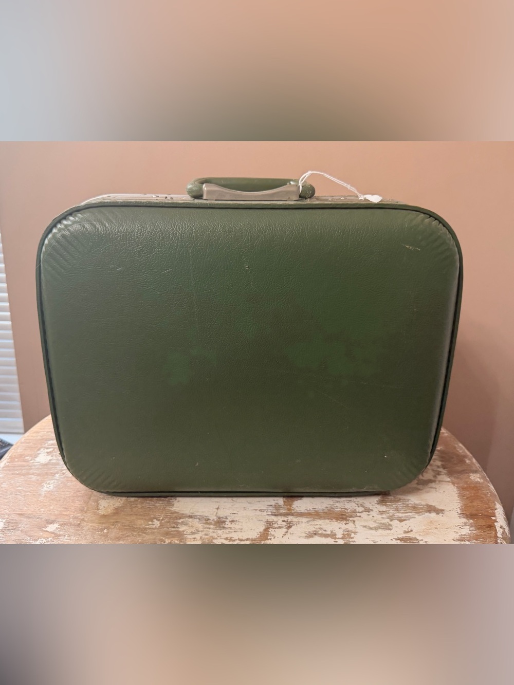 Vintage Green Hard-Shell Travel Case